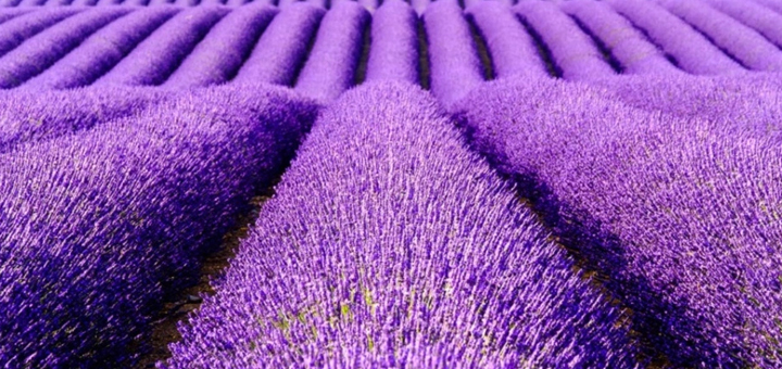 Standard Post with Image