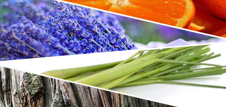 Standard Post with Image