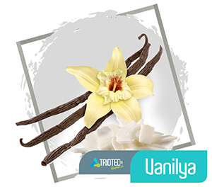 Triotectr Kokularımız